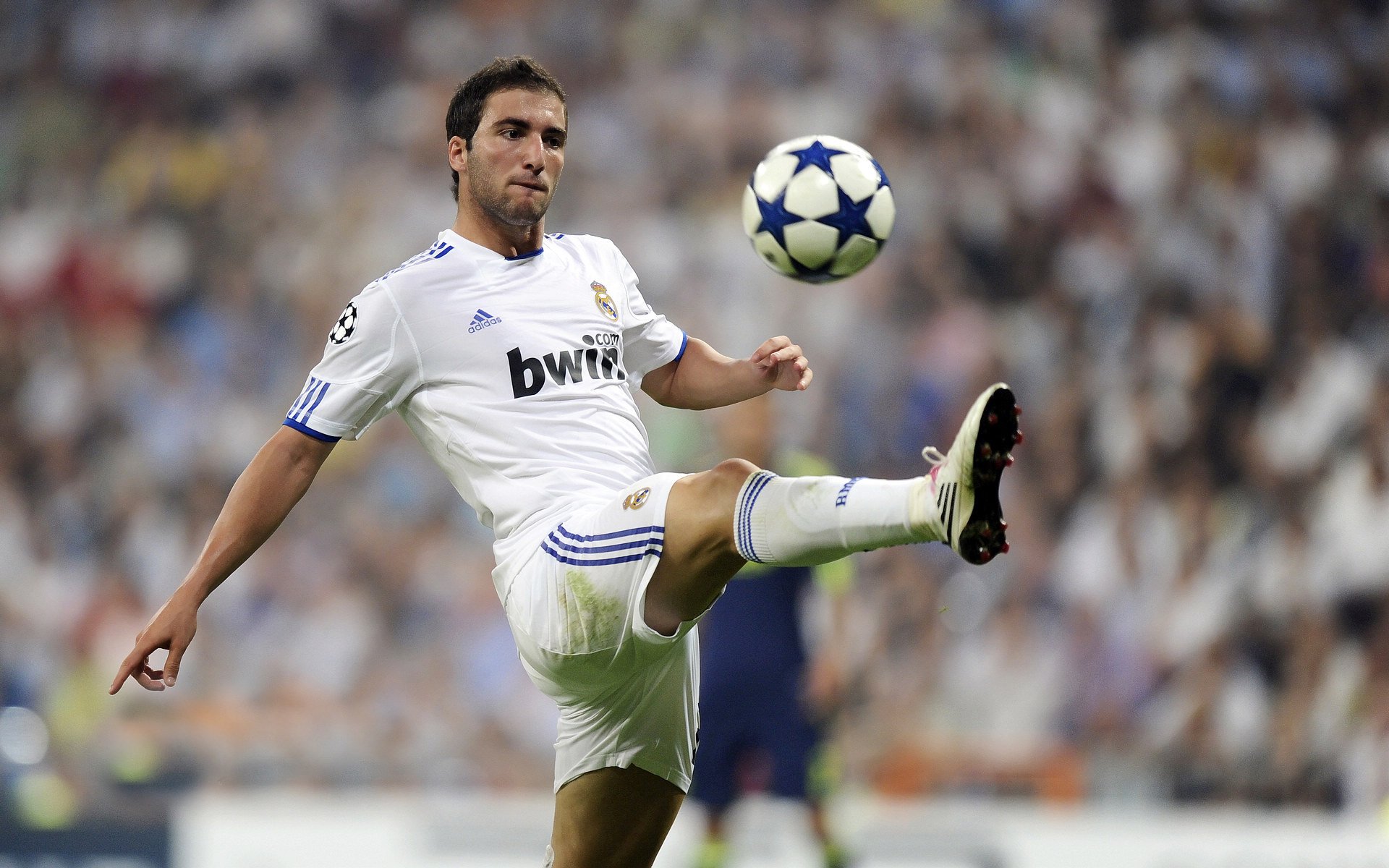 足协杯最新形势:北京首钢高居榜首,上海海港强势追赶,冠军归属成迷