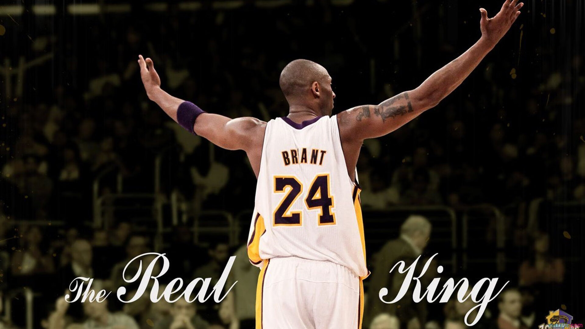 浓眉哥赛事官方发布赛况扑朔迷离新规，塞尔维亚队争议不断！